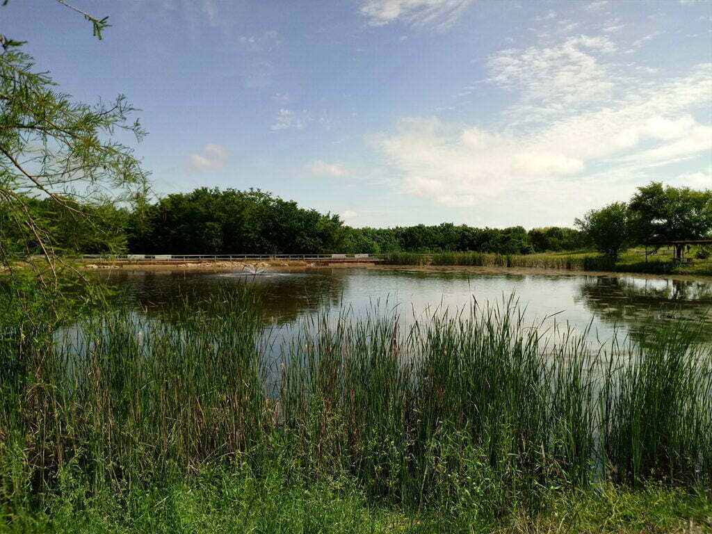 Wylie, TX 7 Garage Door Repair Sherman, TX