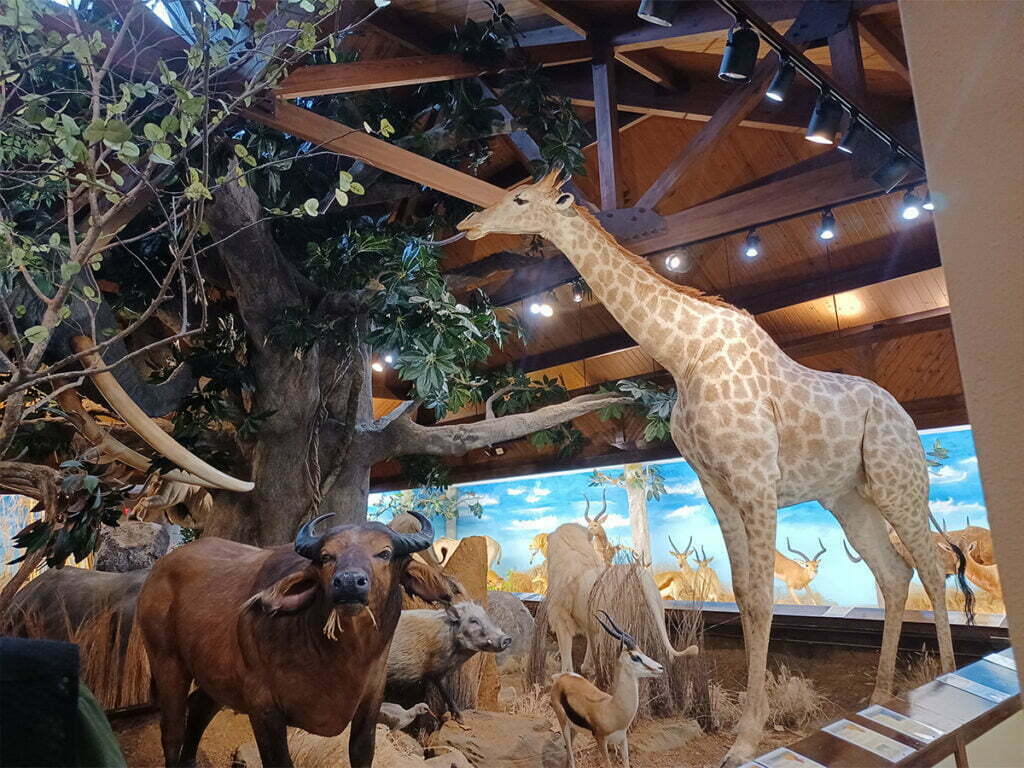 Garage Door Repair Sherman, TX