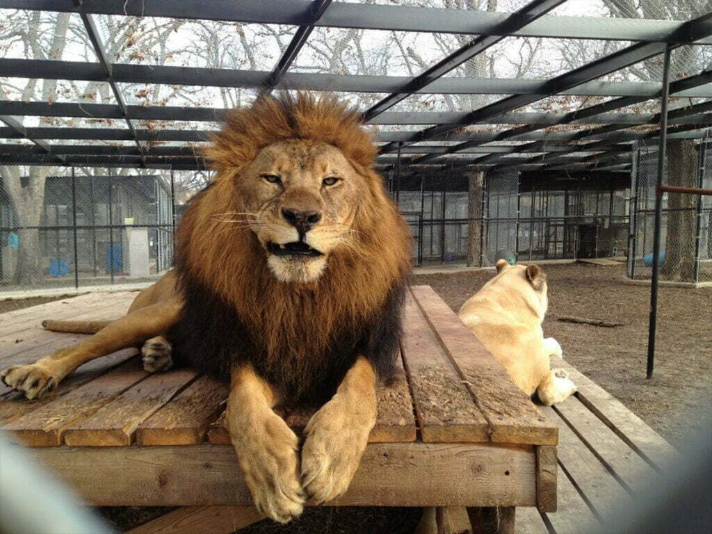 Wylie, TX 4 Garage Door Repair Sherman, TX