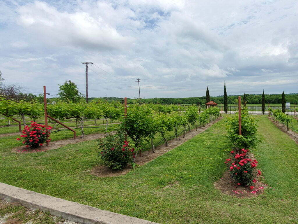 Wylie, TX 3 Garage Door Repair Sherman, TX